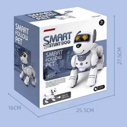 Kidsstoy RoboDog