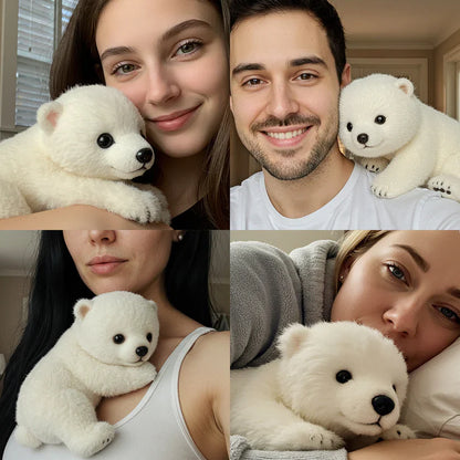 Sevimli Peluş Ayı